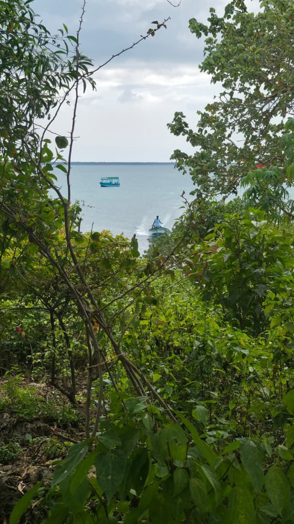 Eco Beach Experience